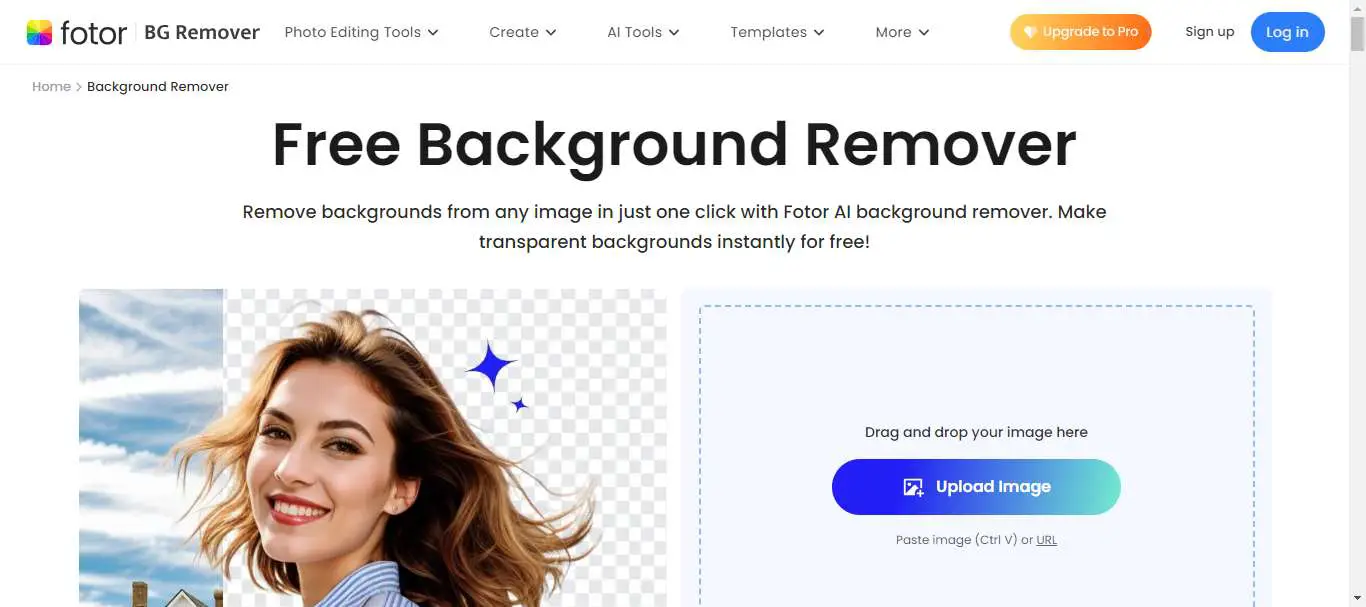 fotor background remover