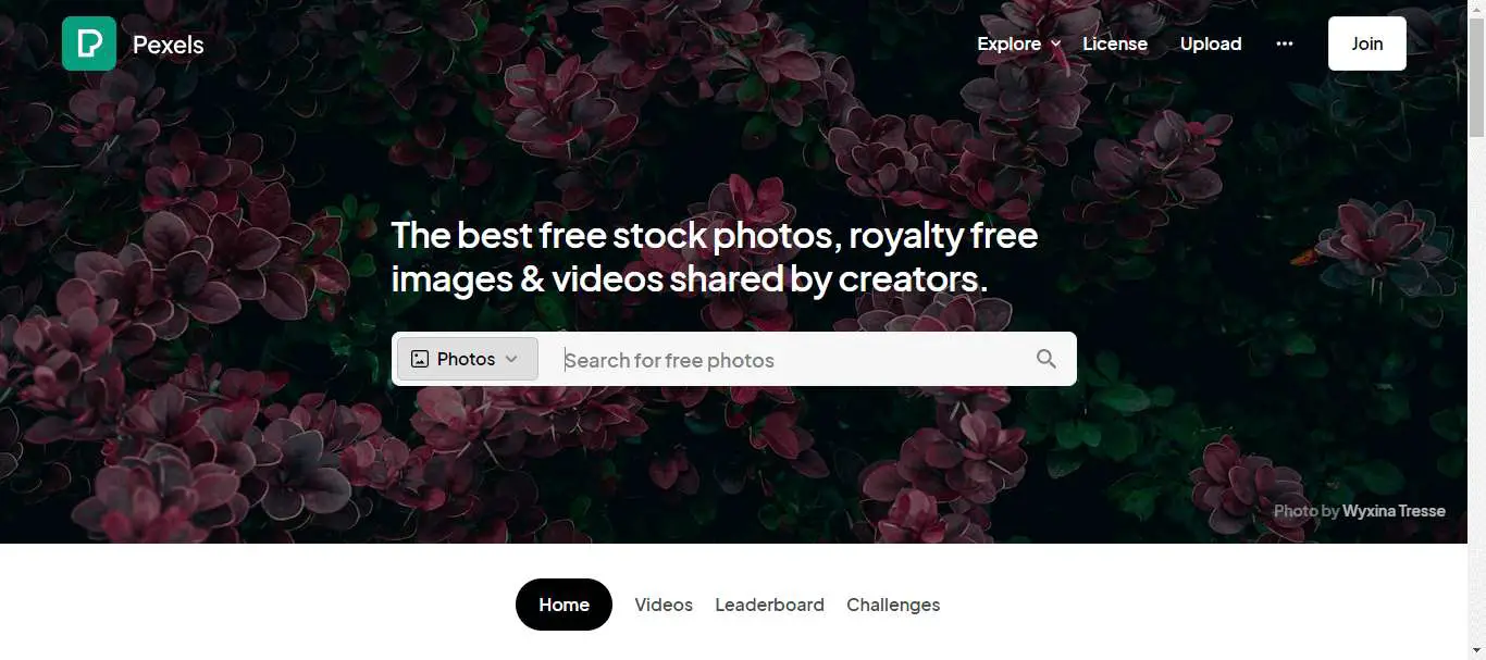 pexels stock photos